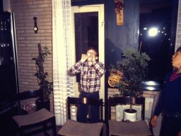 0DIA 1984 RAVA PUPS 1